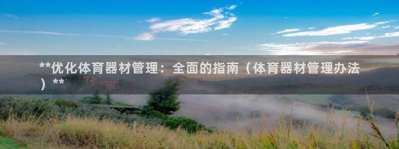 极悦平台和蓝狮平台区别在哪:**优化体育器材管理:全面的指南