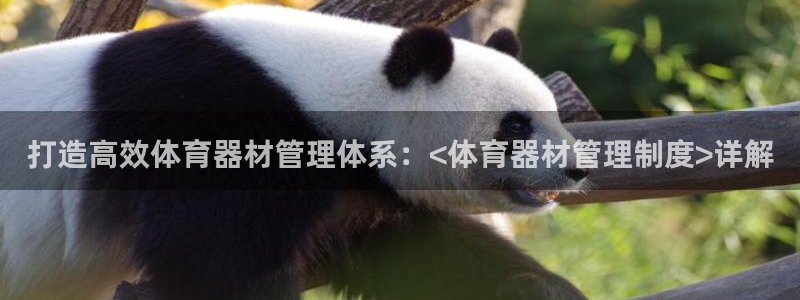 极悦平台注册登录入口网址:打造高效体育器材管理体系:<体育器