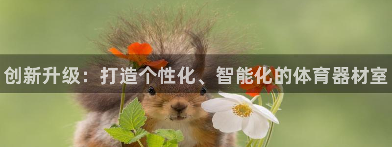 石家庄极悦空间设计有限公司:创新升级:打造个性化、智能化的体