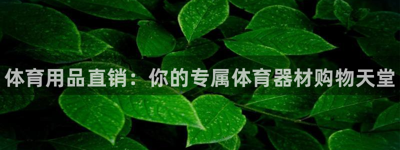 极悦平台注册用户名验证失败:体育用品直销:你的专属体育器材购
