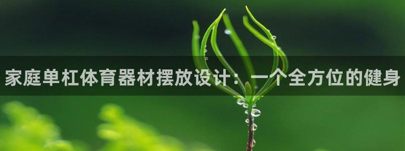 极悦平台客服投诉电话是多少号:家庭单杠体育器材摆放设计:一个